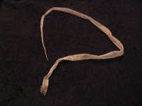 160_6016.jpg