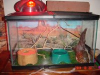 DSC01563.JPG