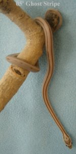 HPIM2315.JPG