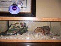 TANK 1.jpg