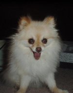 jasper13.JPG