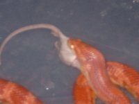 S3400081.JPG