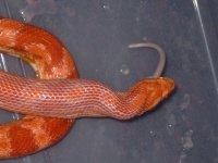 S3400084.JPG