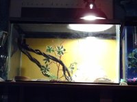pets 009.jpg