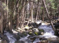 bottomofBridalveil.JPG