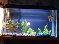 pets 007.jpg