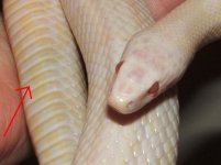 082406 beatrix (16).JPG