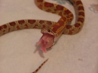 DSCF6285.JPG