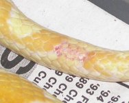 bite.jpg