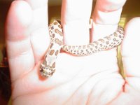 Babe got me wrapped.JPG