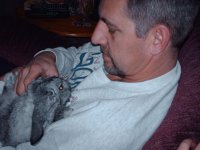 Rabbit 002.jpg