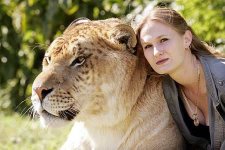 liger5.jpg