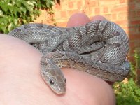 generalpics050704 032.jpg