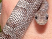 generalpics050704 039.jpg