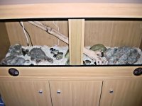 DSCN1584.JPG