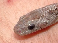 generalpics050704 079.jpg