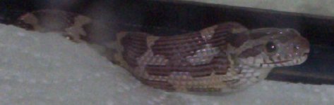 000_1130.JPG