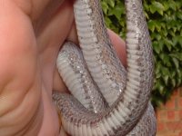 generalpics050704 080.jpg