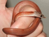 091406 carol (4).JPG