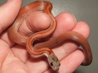 091406 carol (5).JPG