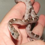 091406 mike (12).JPG