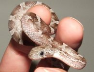 091406 mike (15).JPG