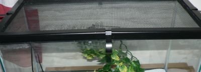screen lid.jpg