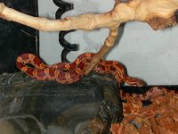 img0097.jpg