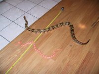 img_4757 (small).jpg