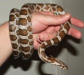 100306 julie (1).JPG