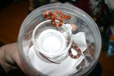 deli_255_5525.jpg