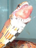 DSCF0028_edited.JPG