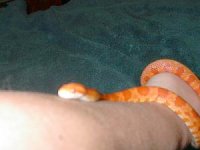 IM001041.JPG