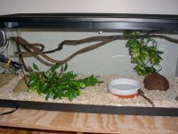 20gal viv.jpg