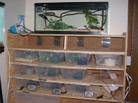 Rack System4.jpg