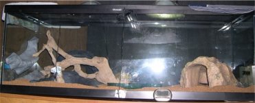 picture 019.jpg