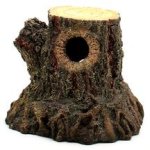 stump.jpg