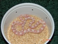 DSC00390 (Medium).jpg