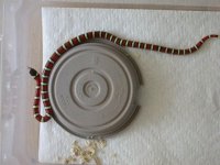 DSCN2680.JPG