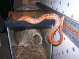 th_July2006037.jpg