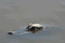IMG_5457.JPG