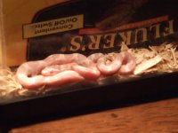 DSCF0786.JPG