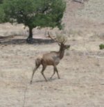 IMG_3259_edited.JPG