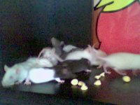 Picture 140.jpg
