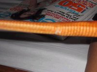 drey%20027.jpg