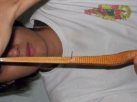 drey%20026.jpg
