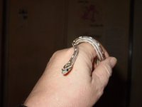 newest snakes 065.jpg