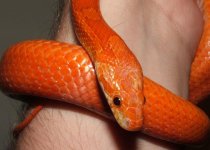 091806 hydi fs (15).JPG