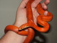 091806 hydi fs (20).JPG