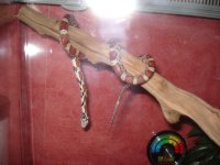 DSC00416.JPG